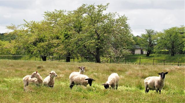 小出農園@koide.farm· Sakura-shi, Chiba