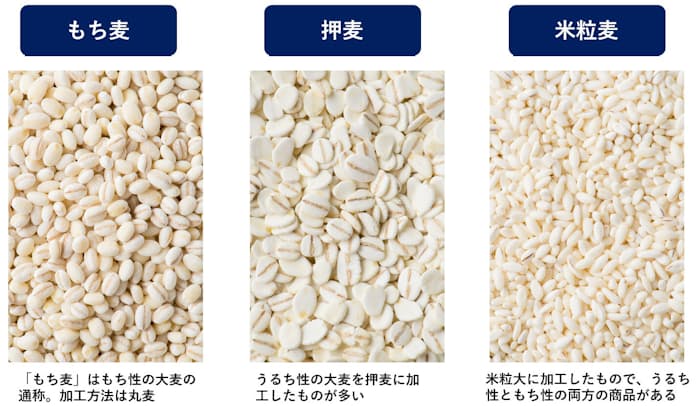 大麦とは?大麦とその効用おいしい大麦研究所