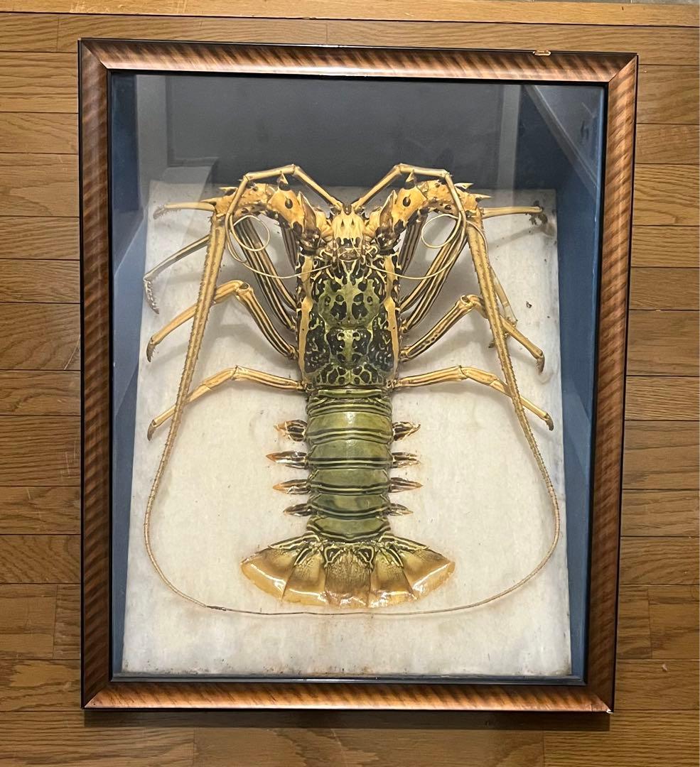 おせち具材の意味 海老 大丸松坂屋オンラインストア 公式通販