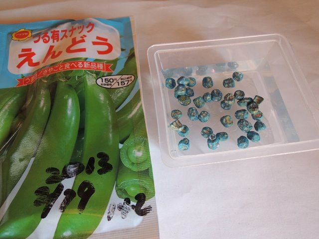 スナップエンドウの育て方！プランターで簡単栽培