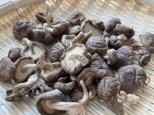 濡れてる「しいたけ」は危険！？食べられるかどうかの見分け方やその原因・理由について詳しく解説！おうちごはん研究所