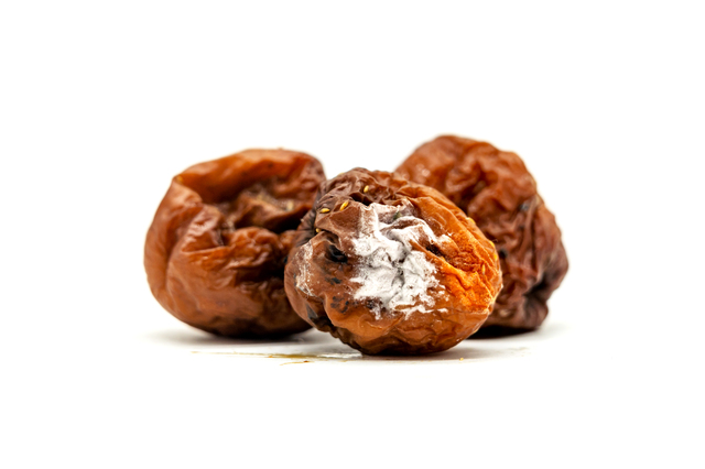 昔ながらの酸っぱい梅干し!和歌山県産の三年熟成特別栽培南高梅干し