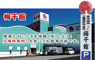 梅干し専門店の 梅干館 和歌山のタウン情報・梅干館・うめかんどっとこむ 梅干し工場の見学や梅干し作り体験もできます♪