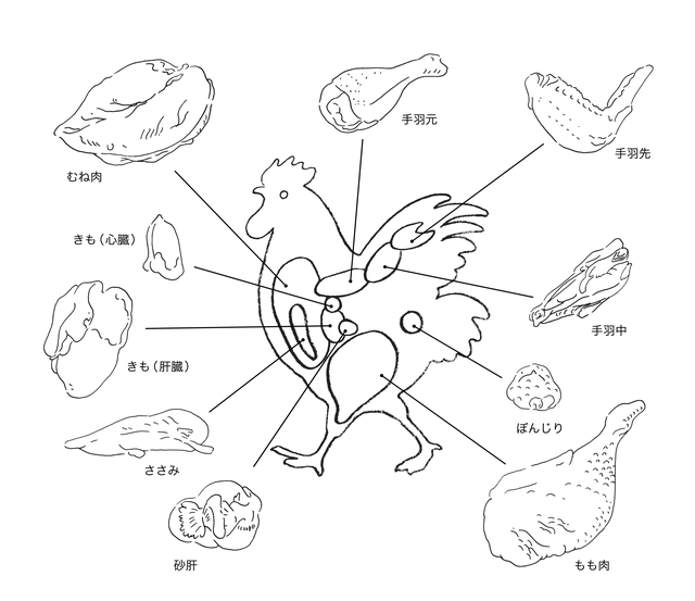 鶏肉のこれってどこの部位？特徴と違いを知って料理上手に！ハレの日、アサヒ毎日をおいしく楽しく