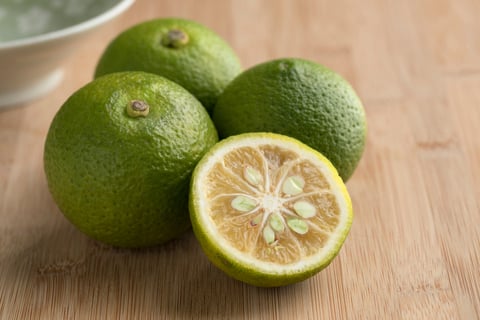 レシピはこちらから👉, 作りたいっ！と思ったら『❤️』でコメントして教えてね😘, 旬の柑橘で作る ＼自家製ぽん酢 , 搾りたての果汁の味わいが,美味しすぎて感動します😍✨, ✼•• ••✼, ▓ ぽん酢𐩢𐩺꙳⋆ᐝ, 〖 材料 〗,●かぼす・ゆず・すだちなどお好きな柑橘, 約100ml 酸味が苦手な人は減らしてください , ●醤油100ml,