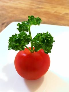 作り置き！お弁当！簡単！冷凍ミニトマト by 愛莉☆陸上クックパッド簡単おいしいみんなのレシピが392万品