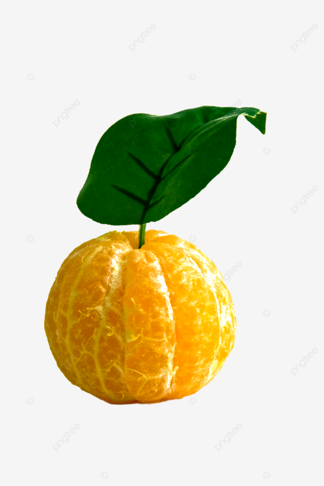 純生ショート ラ・クレマンティーヌ