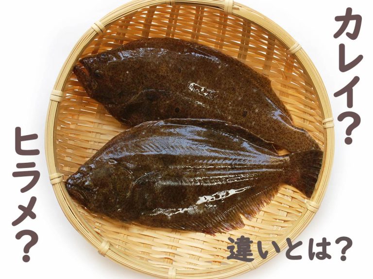 カレイとヒラメとえんがわ料理日和