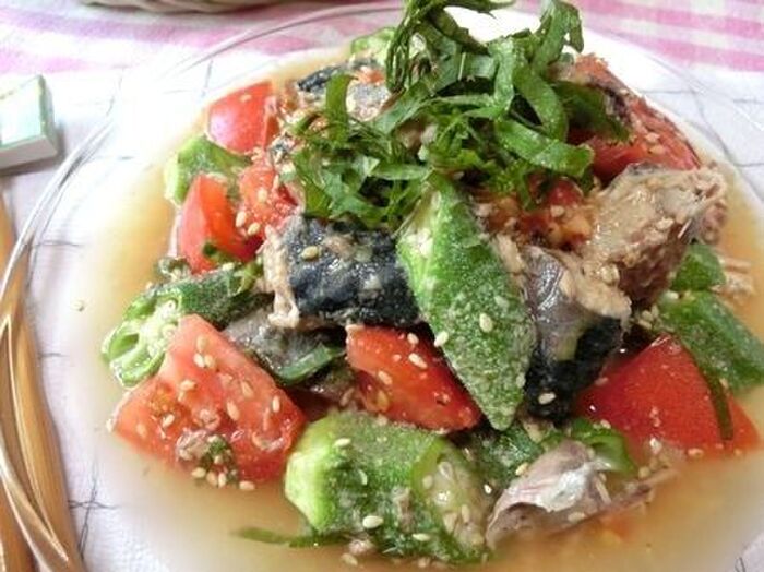 夏野菜とチキンのさっぱりトマト煮込み