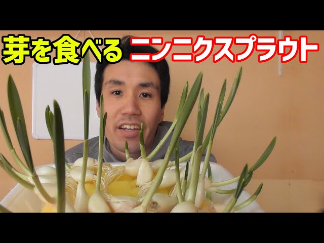 ニンニクの芽みなとの野菜大辞典