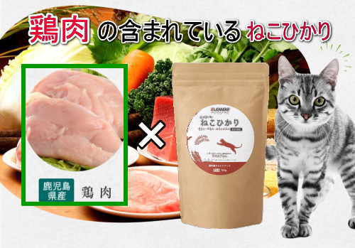猫は鶏肉を食べても大丈夫？ささみやもも肉は？部位ごとに解説ねこちゃんホンポ