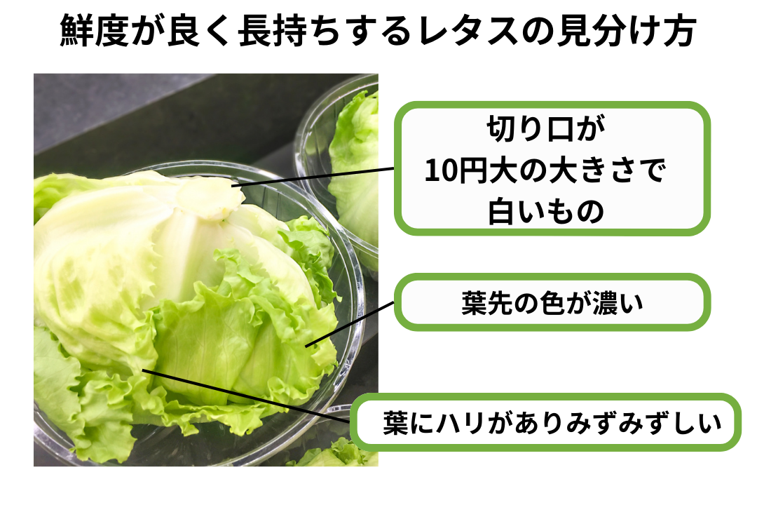 長持ち&パリパリ復活 サニーレタスの保存方法 - YouTube