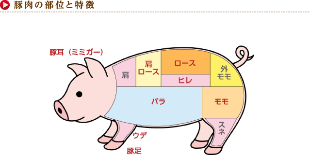 豚肉の部位と特徴を知って美味しく活用！ハム・ソーセージの原料も紹介 – ハム工房 HISAMATSU