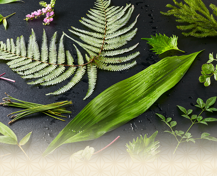 南天 ナンテン の切り花を長持ちさせるお手入れ方法は？出回り時期、花言葉も解説！ – 花・花束の通販サイトHanaTaku