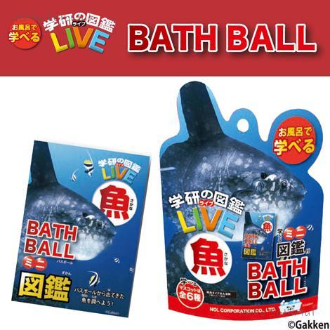 今週と来週は”海シリーズ”をご紹介します！ 本日は「魚バスボール 」！お風呂にいれていただくと、6種類の中からランダムでおさかなのフィギュアが出てきます！香りも癒やされる香りです☺️スタッフはマンボウが出てくれました！意外とリアルなお顔でかわいい