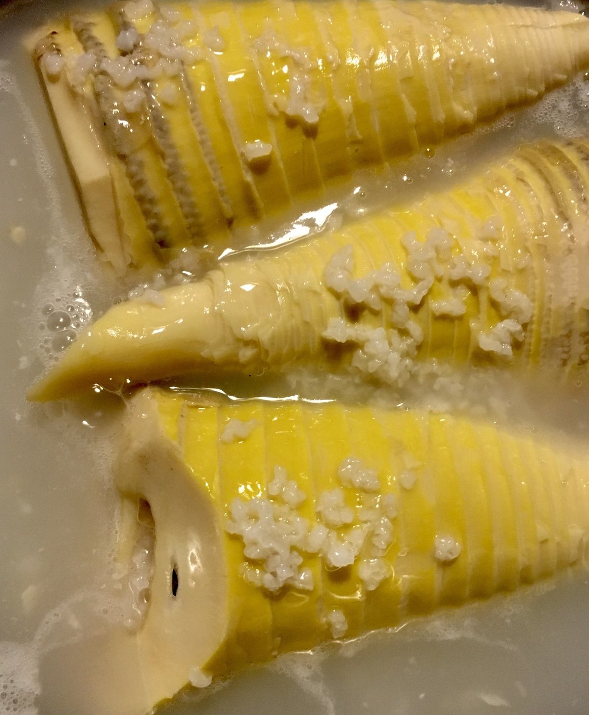 ぬかなし 米のとぎ汁を使ったたけのこのアク抜き方法