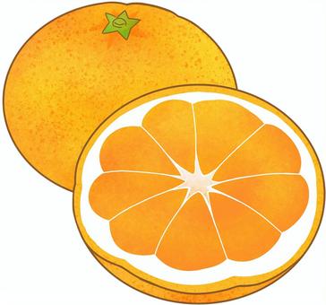 柑橘の断面図 マコポン - わたなべまこのこと