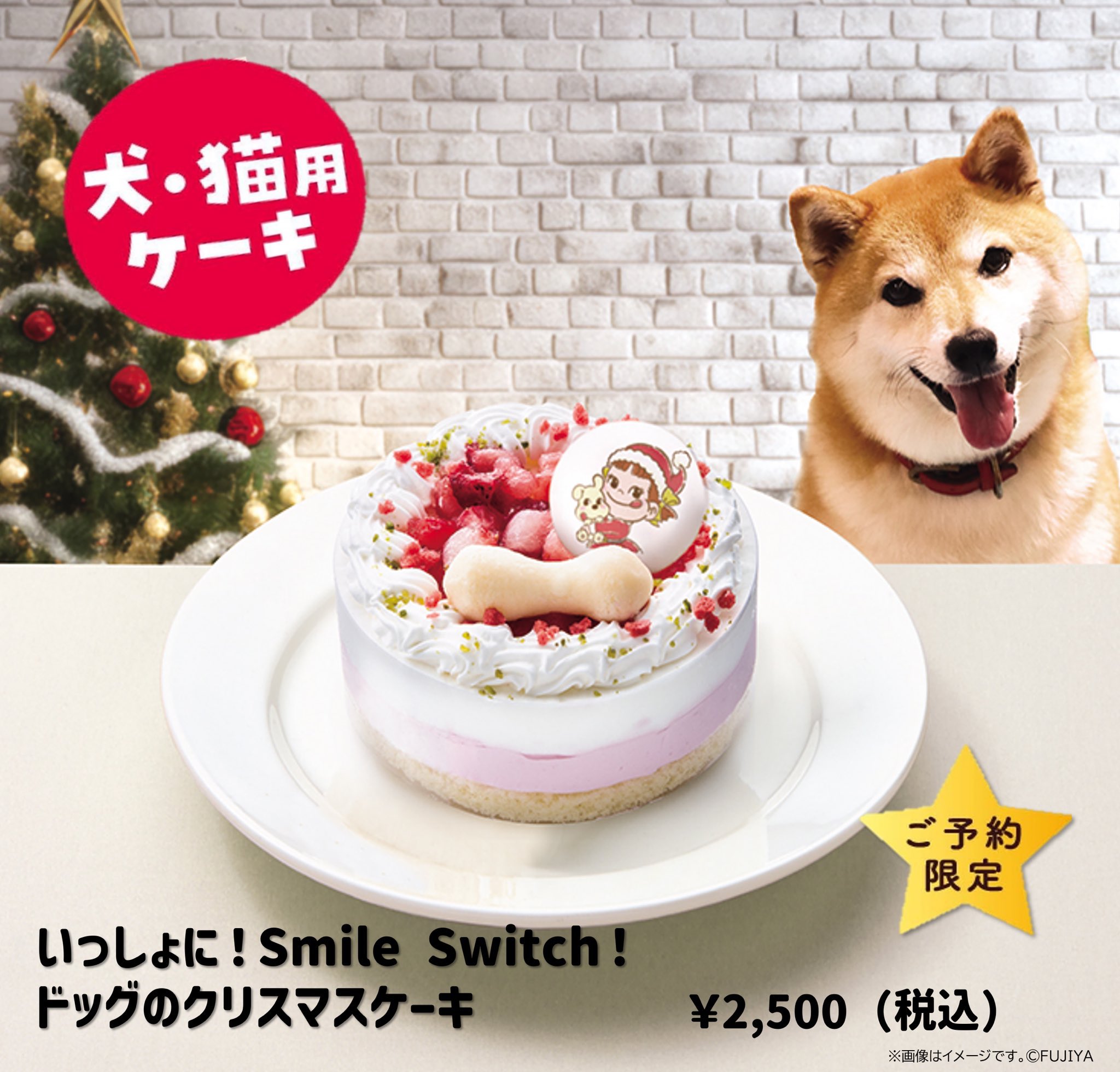 ✨愛犬用クリスマスケーキ✨, 残りわずかです〜😆, お早めに〜！,犬用犬用ケーキ犬用おやつ犬用おせちドッグドッグサロンドッグカフェドックカフェ全国発送犬のいる暮らしクリスマスケーキ