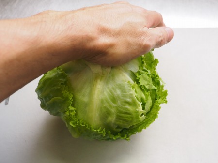 レタスサラダの基本基本の食材をまるごとたのしむサラダキユーピ