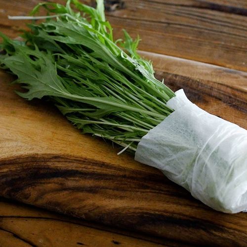 水菜の冷凍・冷蔵保存方法 長く鮮度を維持するテクニックほほえみごはん-冷凍で食を豊かに-ニチレイフーズ