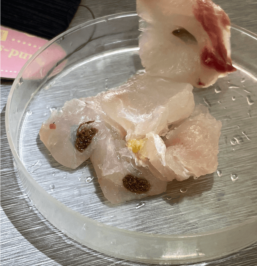 与那国島 栄釜 さかかま 食堂・ティラピアの刺身が食べれるネットにも出ていない食堂に潜入！横浜泥酔 - 楽天ブログ