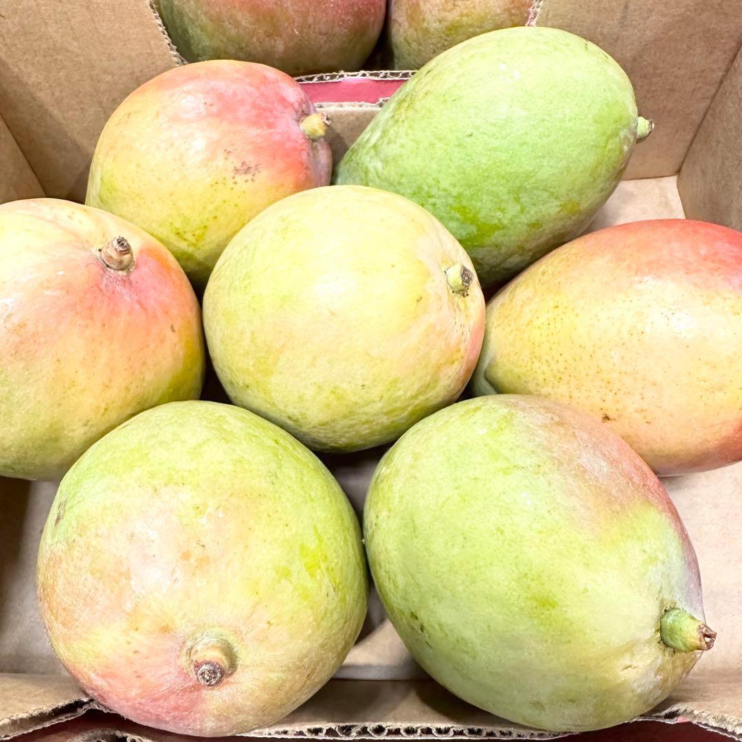 コストコアップルマンゴー 12個 約5キロ