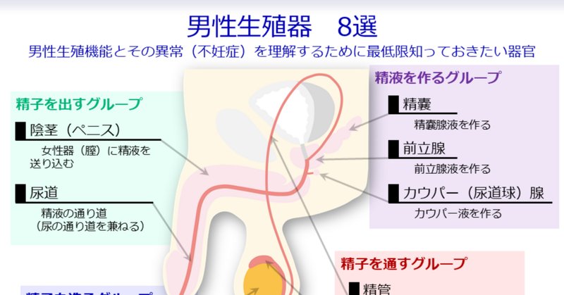 20%OFF】【医学生監修/図解解説PDF入】脳に快感を刻み込む甘々乳首&前立腺開発 後戻りできない一ヶ月間甘マゾ メスイキトレーニング  [サークルナーサリ―]