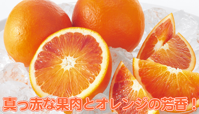 Amazon紗や工房 フルーツモチーフ オレンジ くし切り 約5.5cm 1個 橙色 ハンドメイド アクセサリーパーツアクセサリパーツ 通販