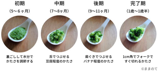 手づかみ食べ BLW離乳食で初期から使える栄養満点のブロッコリー – おいしい子育て