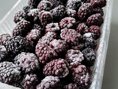 ブラックベリー 値段 相場や旬の情報まとめKitchen Infosite