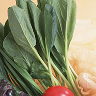 栄養豊富な小松菜。期待できる働きと無駄なく栄養を摂る方法を解説VITANOTE CLIPVITANOTE ビタノート