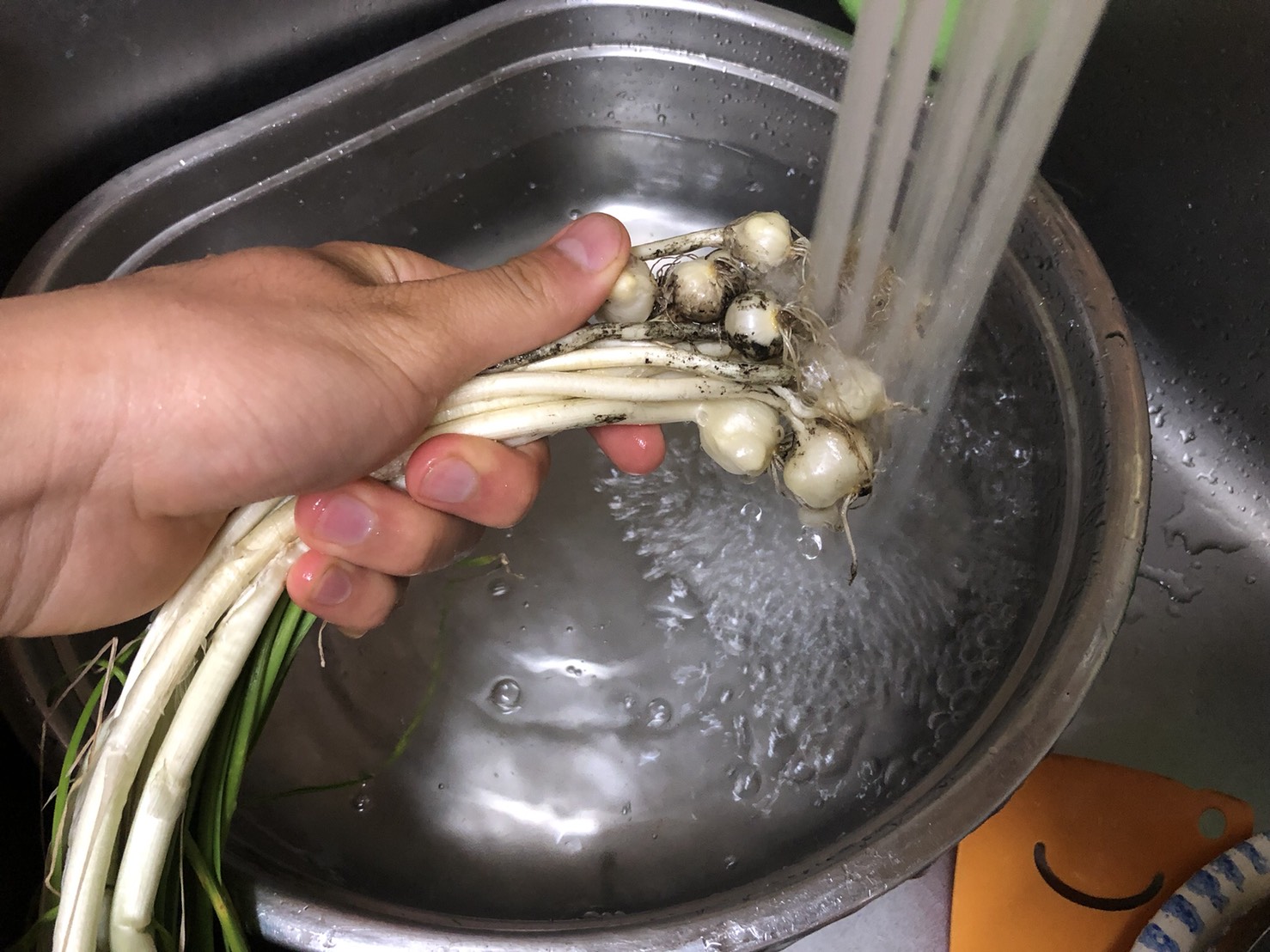 ノビルの 迷わない 見分け方、採り方、食べ方