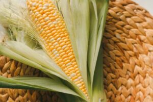 トウモロコシ 「茹」でと「バター醤油焼き」 - 魚料理と簡単レシピ