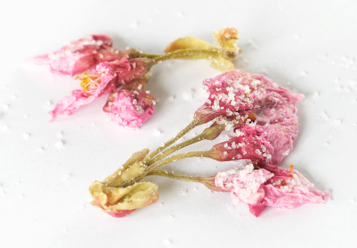 春の香りをとじこめた、桜とシナモンの琥珀糖三浦真理 薬膳スパイス家庭料理研究家