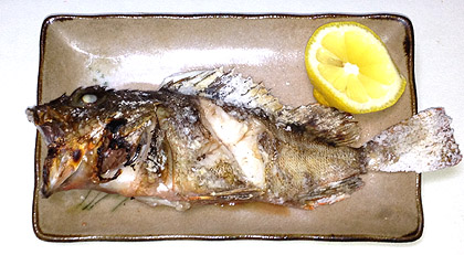 嫁と離れてオヤジ飯②カサゴの塩焼き、カサゴの昆布シメ丼、荒汁材料カサゴの昆布シメ丼 カサゴ、塩昆布、大葉 卵黄、すりごま 後はカサゴだけ調理時間 全部で15分くらい 調理方法 昆布締めは塩昆布を刻んでカサゴにまぶしで ラップに包んで一晩 荒汁は骨を