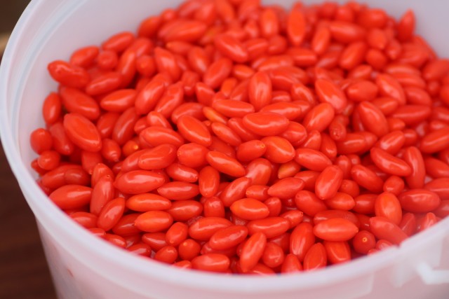 杏仁豆腐の上の赤い実はクコの実?食べ過ぎNG?由来や味を紹介! ちそう