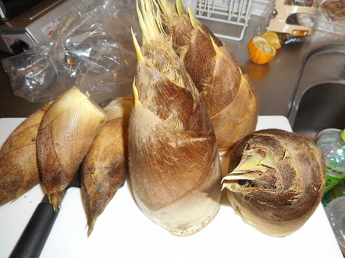 たけのこが腐るとどうなる？見分け方と日持ちさせる保存方法