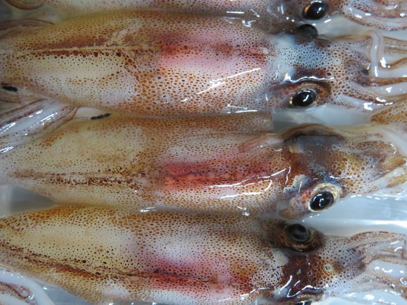 下処理も解説 アヒージョは卒業！ ホタルイカのおつまみレシピ3品。プリっとした食感が最高です三越伊勢丹の食メディアFOODIE フーディー