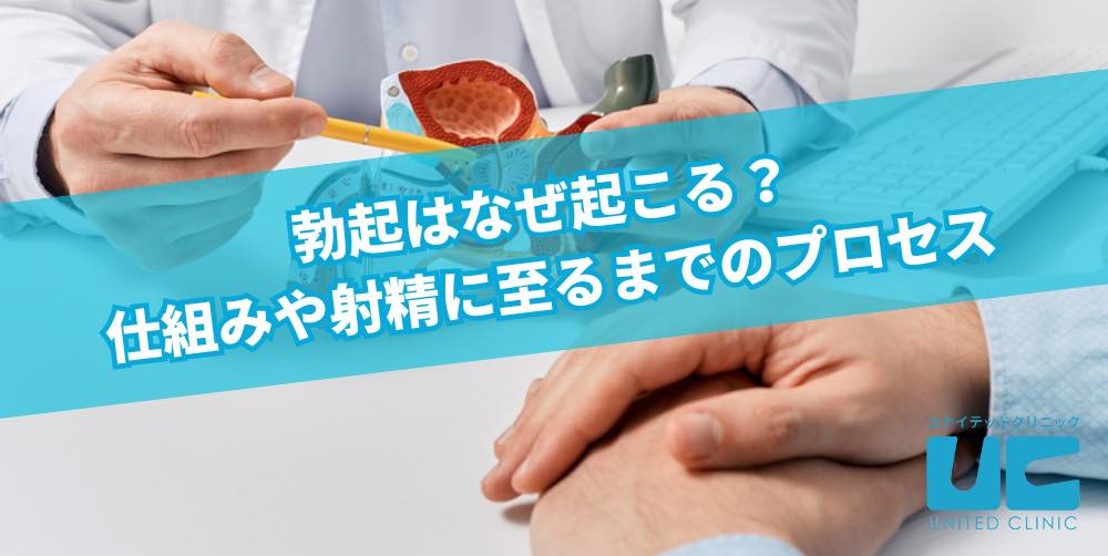 勃起力チェック】フル勃起時の角度や硬さ、持続時間からED診断｜薬の通販オンライン