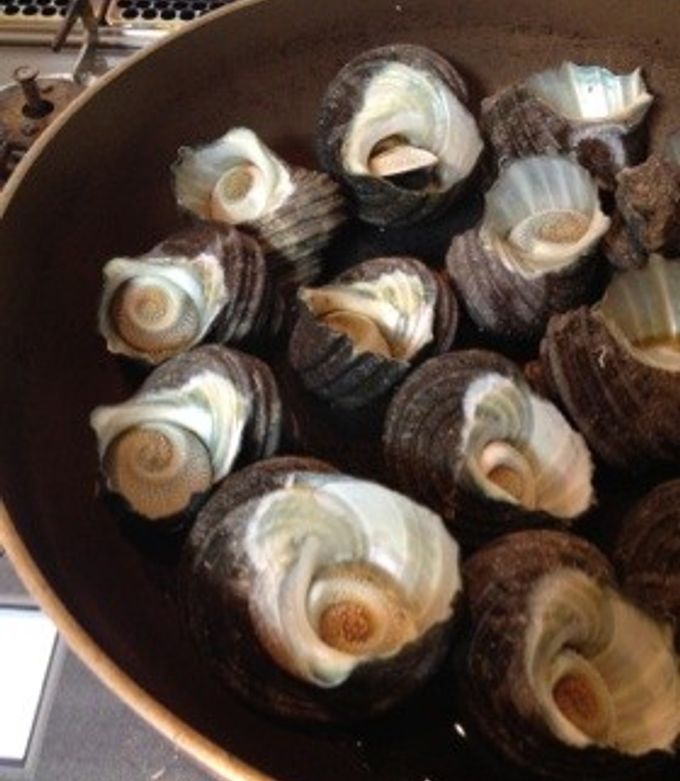 群馬県の洋菓子 4ページ目 一覧 - NAVITIME