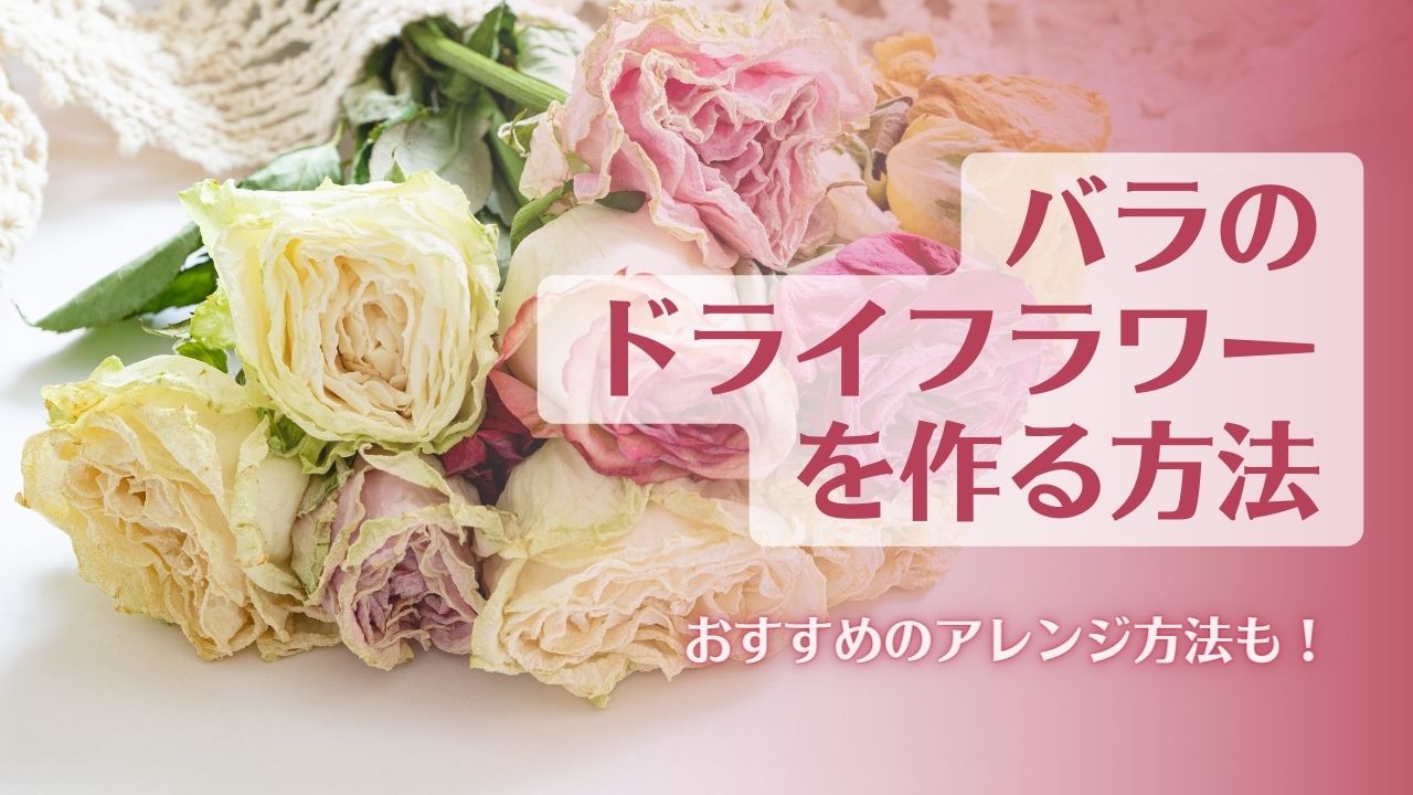 1番簡単 吊るすだけのドライフラワーの作り方