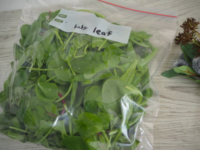 オーガニックは好き？コストコ☆有機栽培ベビーリーフむーの日常ときどきコストコ