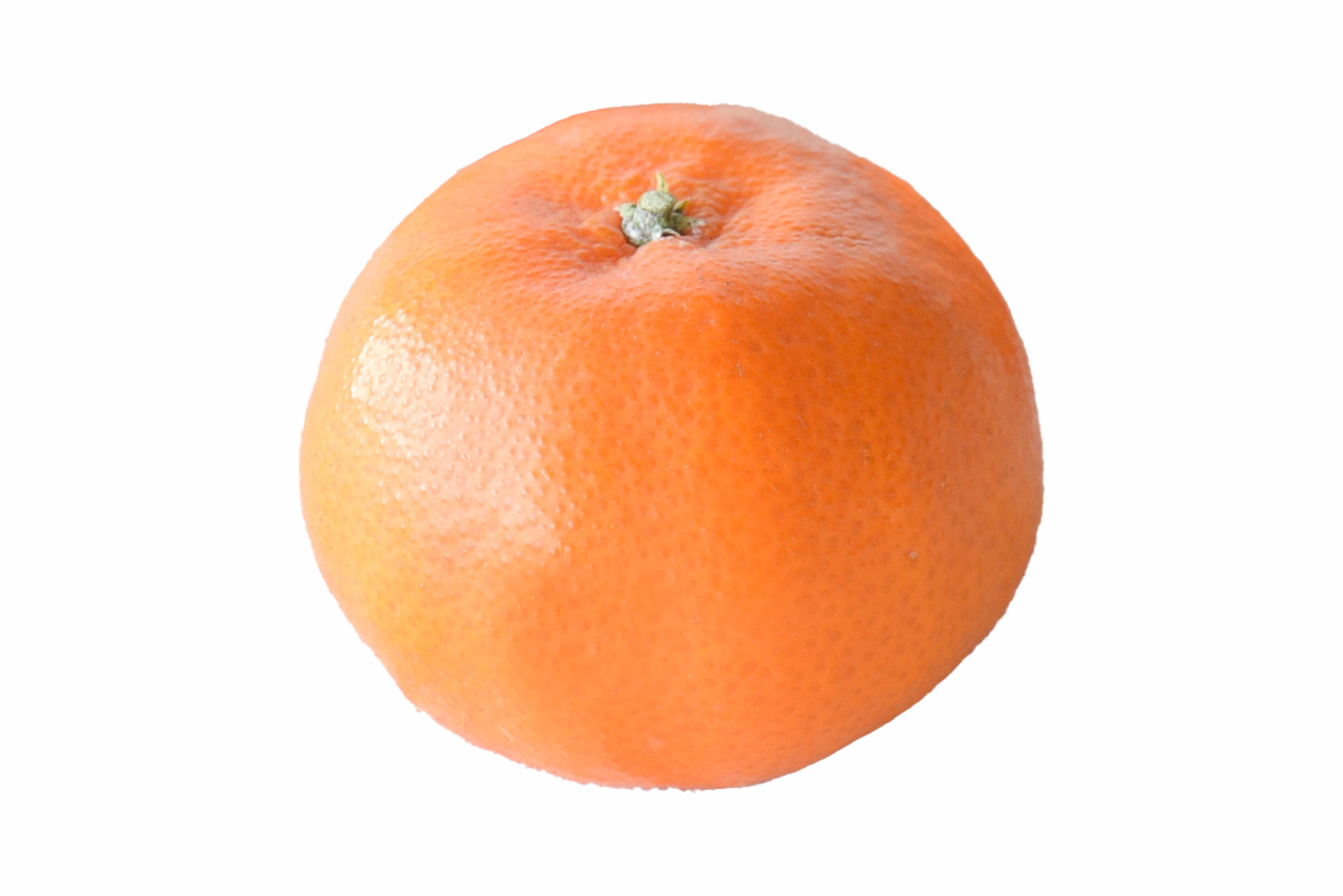 桃の果実2022 – ラ・クレマンティーヌのブログ