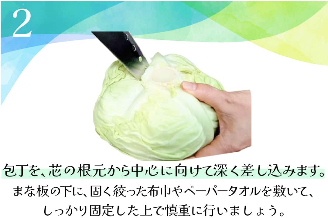 キャベツの切り方千切り・ざく切り・芯の取り方、切り方別のおすすめ料理も紹介 - トクバイニュース