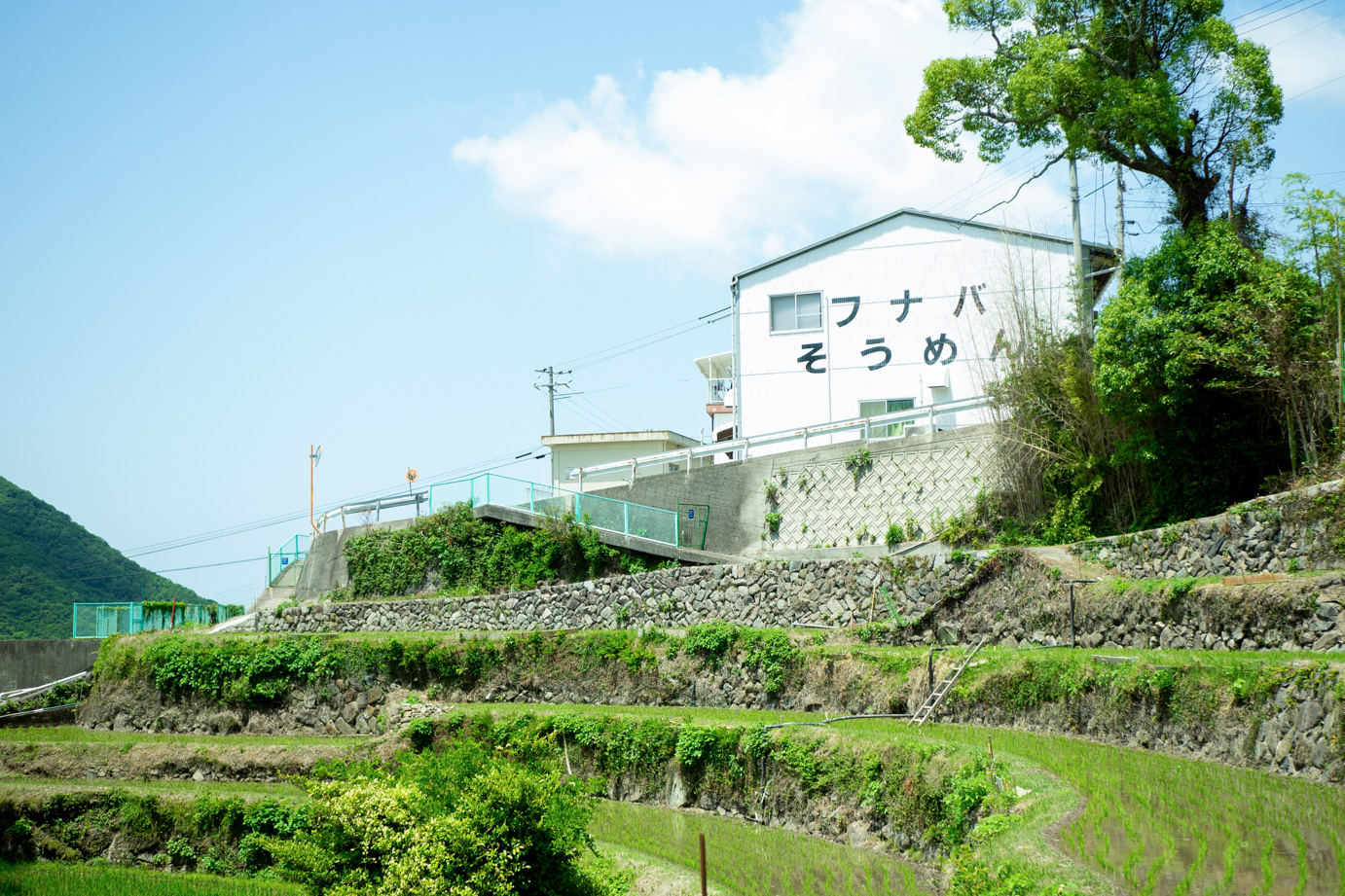 有限会社船波製麺所 小豆郡小豆島町 食品 の地図地図マピオン