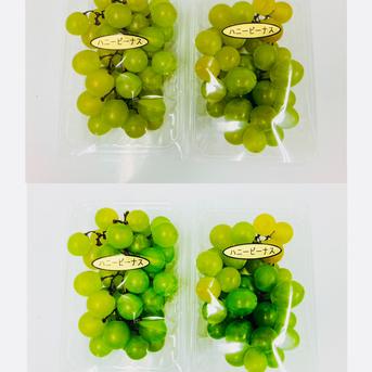 超うまい、ハニービーナス