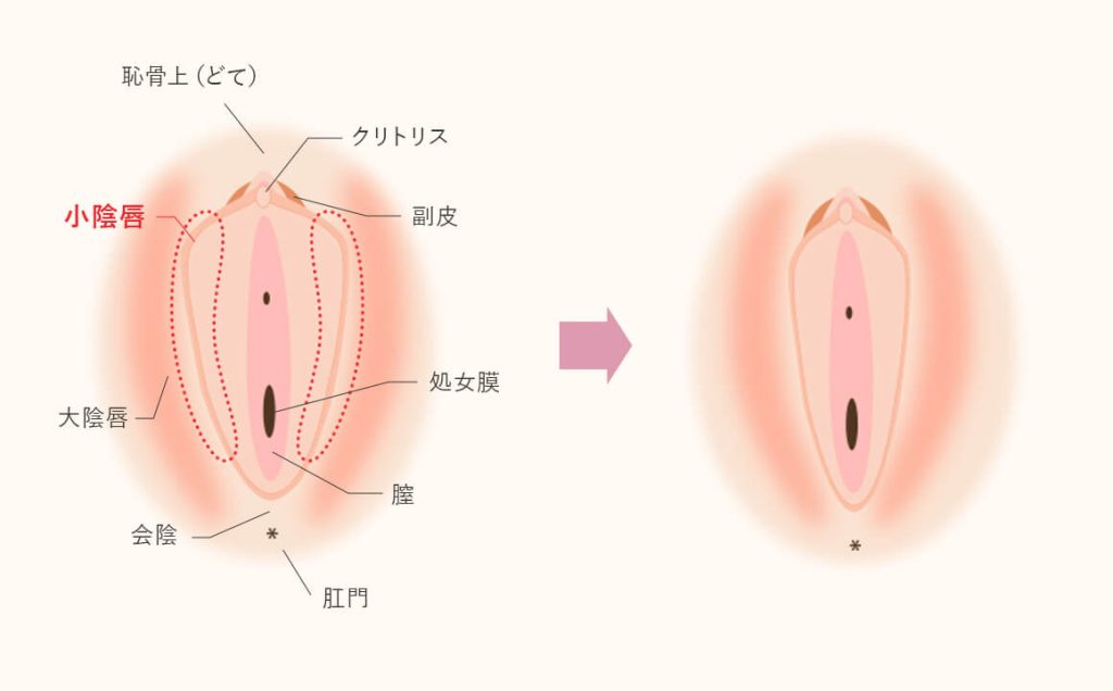 どうやってするの？初心者のための「正しいアナルセックス」 ｜ bda