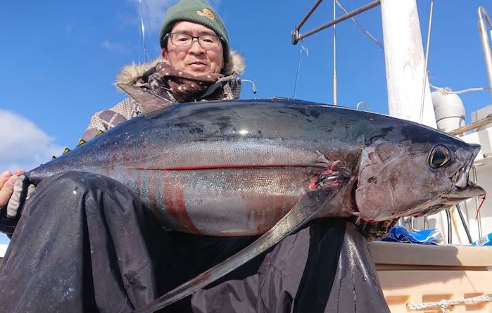 ビンナガ ビンチョウマグロの目利きと料理旬の魚貝百科