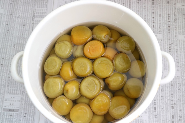 梅シロップに泡が出て発酵した物は飲める？対処法と濁りがある場合は