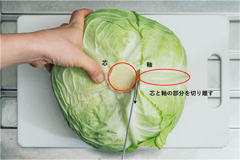 キャベツの切り方料理で使える4種類!短冊切りってなに?コジカジ
